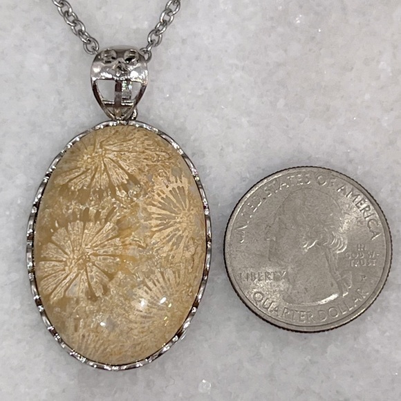 Fossil Coral Silver Pendant Necklace - Picture 10 of 10